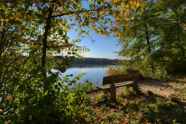 平衡国脚的 平衡国脚的