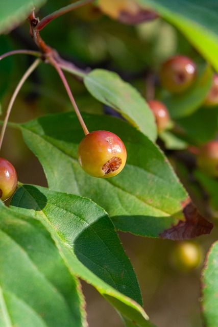 在面对对手 在面对对手